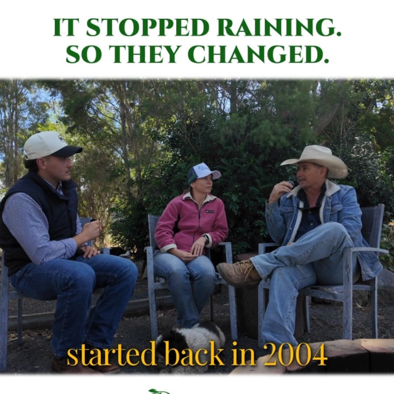 It stopped raining. So they changed how they graze. Dan and Emma-Jane from @burnhamgrazing started on Stonehav
