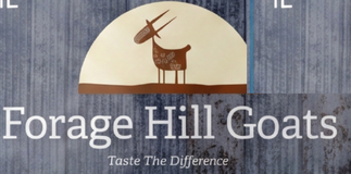 Forage Hill Goats