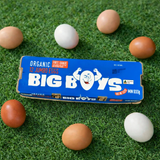 Jumbo Organic Eggs, Dozen